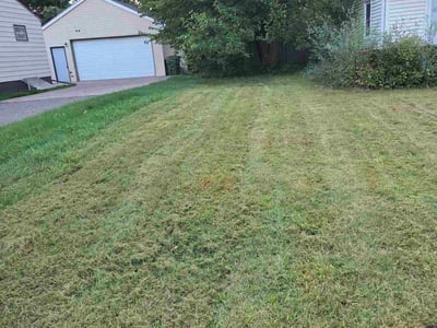 Lawn Care service in Anoka, 55303