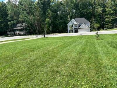 Lawn Care service in Kernersville, 27284