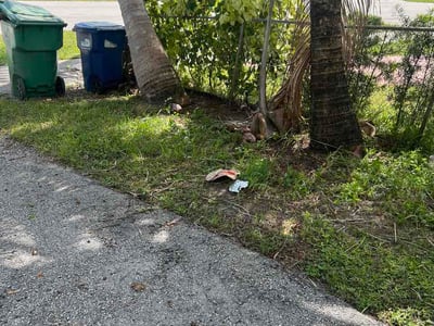 Lawn Care service in Miami Gardens, 33056