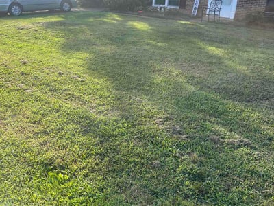 Lawn Care service in Potomac, 20036