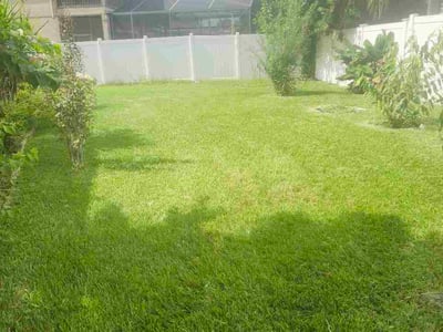 Lawn Care service in Miami Gardens, 33056