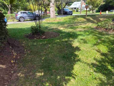 Lawn Care service in Montgomery Village, 20886
