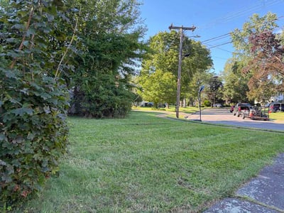 Lawn Care service in Vernon Rockville, 06066