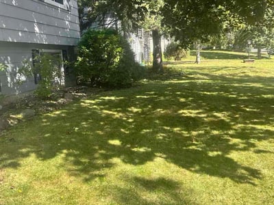 Lawn Care service in Roseville, 55113