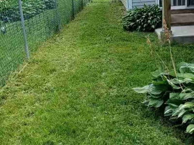 Lawn Care service in Waterbury, 06710
