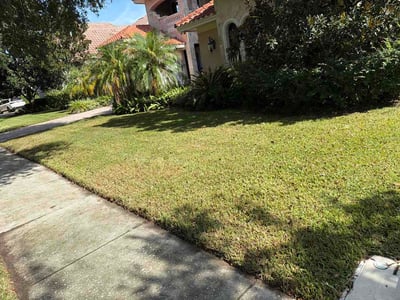 Lawn Care service in Wellington, 33414
