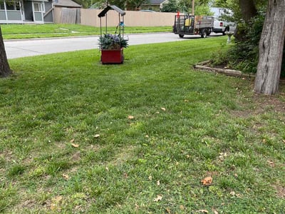 Lawn Care service in Waterbury, 06710
