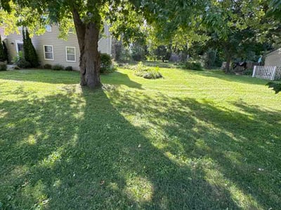 Lawn Care service in Hartford, 53027