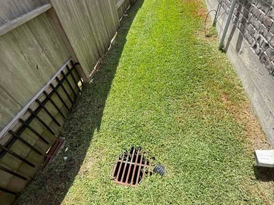 Lawn Care service in Bellaire, 77401