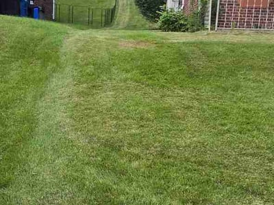 Lawn Care service in Silver Spring, 20910