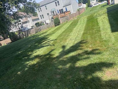 Lawn Care service in Frederick, 21701