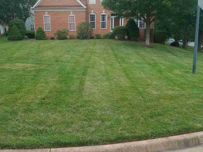 Lawn Care service in Sterling, 20164