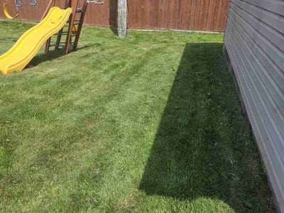 Lawn Care service in Ferndale, 48220