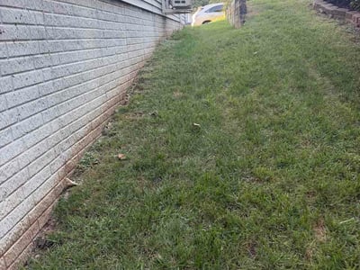 Lawn Care service in Reston, 20190