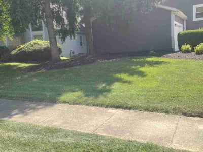 Lawn Care service in Marysville, 43040