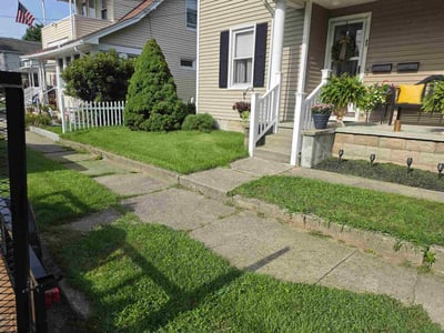 Lawn Care service in North Haven, 06473