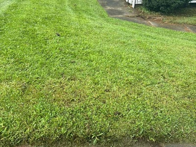 Lawn Care service in Worcester, 01608