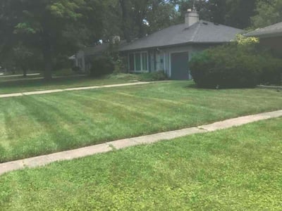 Lawn Care service in West Bloomfield, 48323