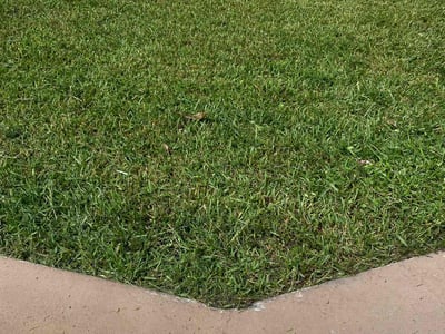 Lawn Care service in Boynton Beach, 33426