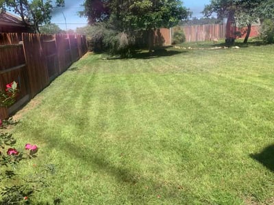 Lawn Care service in Live Oak, 78233
