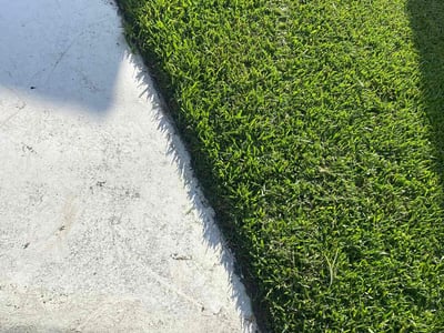 Lawn Care service in Boynton Beach, 33426