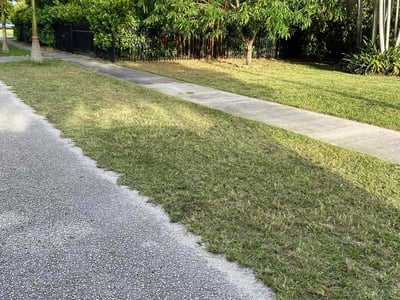 Lawn Care service in Miami, 33132