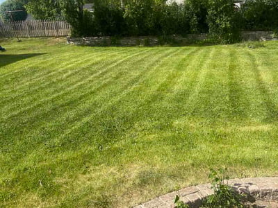 Lawn Care service in Mukwonago, 53149