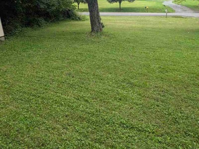 Lawn Care service in Front Royal, 22630