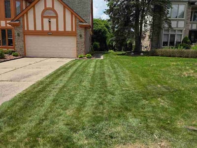 Lawn Care service in Clarkston, 48346
