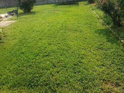 Lawn Care service in Saginaw, 76179
