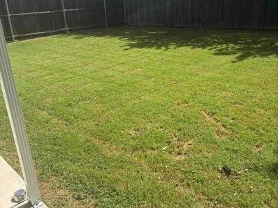 Lawn Care service in Saginaw, 76179