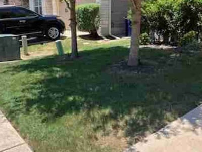 Lawn Care service in La Vernia, 78121