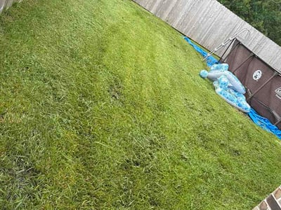 Lawn Care service in Baytown, 77520