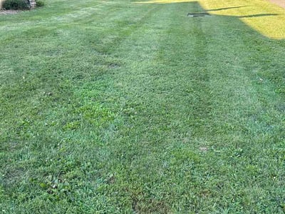 Lawn Care service in East Haven, 06512