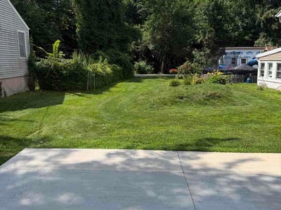 Lawn Care service in East Haven, 06512