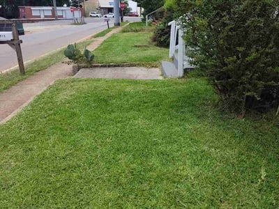 Lawn Care service in Cambridge, 02138