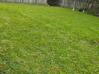 Lawn Care service in Mount Gilead, 43338