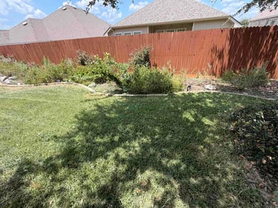 Lawn Care service in Shavano Park, 78231