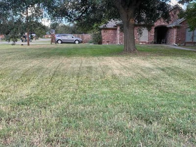 Lawn Care service in Granbury, 76048