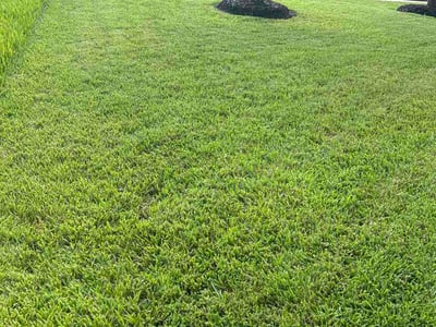 Lawn Care service in Winnie, 77665