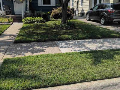 Lawn Care service in Wyandotte, 48192