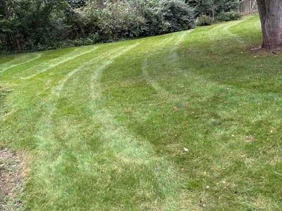 Lawn Care service in Greendale, 53129
