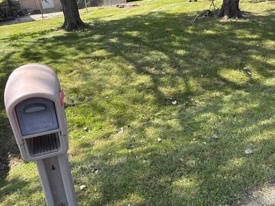 Lawn Care service in Greendale, 53129