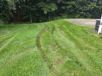 Lawn Care service in Glastonbury, 06033