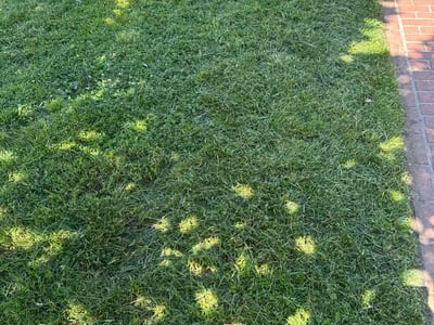 Lawn Care service in Gainesville, 20155