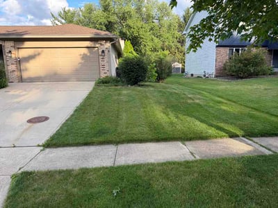 Lawn Care service in New Albany, 43054