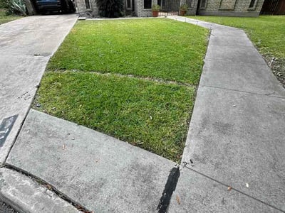 Lawn Care service in Lytle, 78052