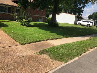 Lawn Care service in High Ridge, 63049