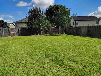 Lawn Care service in Cypress, 77429