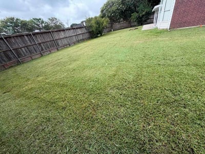 Lawn Care service in Willis, 77378